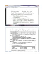 Đề ôn tập kinh tế lượng pps