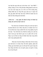 Giáo trình hình thành phát triển ứng dụng lý luận nền kinh tế vĩ mô theo quy trình p3 pptx