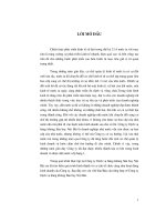 Quá trình hình thành và cơ cấu tổ chức của công ty dịch vụ hàng không sân bay Nội Bài