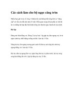 Các cách làm cho bộ ngực căng tròn pdf