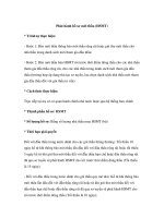 Phát hành hồ sơ mời thầu (HSMT) docx