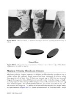 Introduction to Forensic Sciences 2nd Edition phần 6 ppt