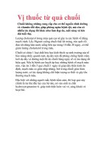 Vị thuốc từ quả chuối ppt