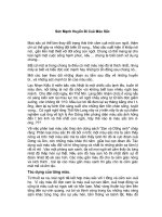 Sức mạnh huyền bí của màu sắc pps