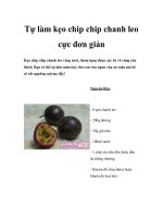 Tự làm kẹo chip chip chanh leo cực đơn giản pdf