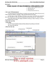 BÀI GIẢNG MÔN THIẾT KẾ WEB_6 doc