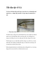 Tất tần tật về Cá pdf