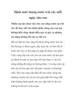 Định mức lượng nước trái cây mỗi ngày cho con ppt