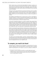 WEB DESIGN AND MARKETING SOLUTIONS FOR BUSINESS WEBSITES phần 2 pps