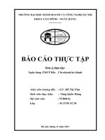 Một số giải pháp mở rộng cho vay tiêu dùng tại ngân hàng NASB chi nhánh hà thành
