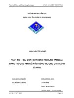 PHÂN TÍCH HIỆU QUẢ HOẠT ĐỘNG TÍN DỤNG TẠI NGÂN HÀNG THƯƠNG MẠI CỔ PHẦN CÔNG THƯƠNG CHI NHÁNH CÀ MAU