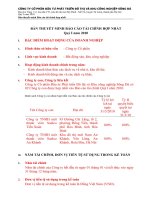 công ty cổ phần đầu tư phát triển đô thị và khu công nghiệp sông đà bản thuyết minh báo cáo tài chính hợp nhất quý 1 năm 2010