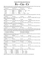 Chuyên đề bài tập một số kim loại Fe – Cu - Cr ppsx