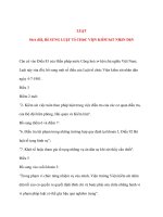 LUậT SửA đổI, Bổ SUNG LUậT Tổ CHứC VIệN KIểM SáT NHâN DâN pps