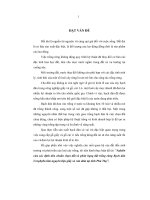 Nghiên cứu xác định tiêu chuẩn chọn đất và phân hạng đất trồng rừng bạch đàn urophylla làm nguyên liệu giấy và ván dăm tại tỉnh phú thọ