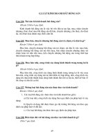 Ngân hàng nông nghiệp - Cán bộ tín dụng cần biết - Những điều cần biết về luật – 4 potx