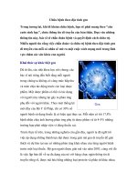 Chữa bệnh theo đặc tính gen pps