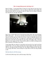 Bảo vệ mạng thông qua lọc nội dung web docx