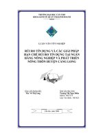 Rủi ro tín dụng và các giải pháp hạn chế rủi ro tín dụng tại ngân hàng nông nghiệp và phát triển nông thôn huyện càng long