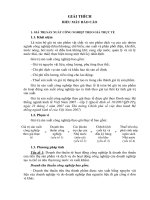 GIẢI THÍCH BIỂU MẪU BÁO CÁO pps