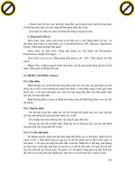 Giáo trình hình thành quy trình phát triển cấu tạo lớp biểu mô của vách ruột p5 pdf