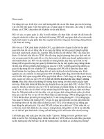 Tiểu luận môn thị trường chứng khoán pot