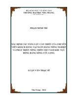 XÁC ĐỊNH các NĂNG lực cần THIẾT của CHUYÊN  VIÊN KHÁCH HÀNG tại NGÂN HÀNG NÔNG NGHIỆP  và PHÁT TRIỂN NÔNG THÔN VIỆT NAM KHU vực  ĐỒNG BẰNG SÔNG cửu LONG