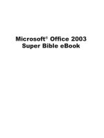 Microsoft Office 2003 Super Bible phần 1 docx