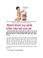 ‘Đánh thức’ sự phát triển não bộ của bé pot