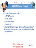 giới thiệu về ASP.NET Server Control pps