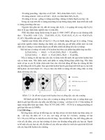 Giáo trình hình thành ứng dụng cấu tạo hệ thống truyền nhiên liệu xả trong động cơ đốt trong p5 pdf