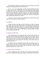 SỨC KHỎE - PHẦN HAI NHỮNG VẤN ĐỀ CÓ LIÊN QUAN TỚI TỪNG PHẦN THÂN THỂ - 3 ppsx