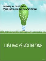 THUYET TRINH-LUAT BAO VE MOI TRUONG1 pot