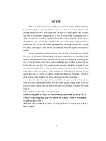 Thực trạng hoạt động kinh doanh của Công ty cổ phần đầu tư thương mại và dịch vụ bảo vệ Việt Á