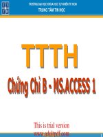 Đề cương ôn access : Bảng dữ liệu (Table) potx