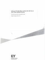 công ty cổ phần đầu tư phát triển đô thị và khu công nghiệp sông đà các báo cáo tài chính riêng giữa niên độ 30 tháng 6 năm 2013