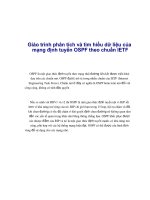 Giáo trình phân tích và tìm hiểu dữ liệu của mạng định tuyến OSPF theo chuẩn IETF phần 1 ppt