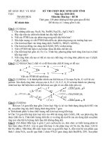 KỲ THI CHỌN HỌC SINH GIỎI TỈNH Năm học 2010-2011 Môn thi: Hóa học – Đề 30 doc