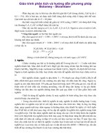 Giáo trình phân tích và hướng dẫn phương pháp Bolomey - Skramtaev phần 1 pps