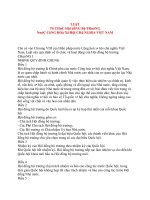 LUậT Tổ CHứC HộI đồNG Bộ TRưởNG ppt