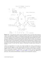 Introduction to Forensic Sciences 2nd Edition phần 8 pdf