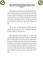 Giáo trình hình thành đường lối phân tích quan điểm xã hội chủ nghĩa sở hữu chủ yếu là quốc doanh p1 pptx