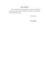 Đánh giá hiện trạng sản xuất và đề xuất giải pháp nâng cao chất lượng tôm sú giống penaeus  monodon fabricius, 1789 tại tỉnh cà mau