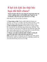 8 lợi ích khi ăn thịt bò: bạn đã biết chưa? pptx