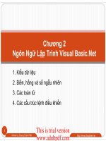 Chương 2 Ngôn Ngữ Lập Trình Visual Basic.Net docx