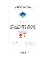 Phân tích tình hình hoạt động kinh doanh của BIDV chi nhánh cần thơ