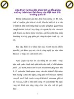 Giáo trình hướng dẫn phân tích và tổng hợp những thành tựu đạt được của VIệt Nam trên trường quốc tế phần 1 potx