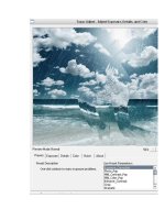 Giáo trình hướng dẫn sử dụng công cụ transfrom ripple để tạo layer quick mask p4 ppt