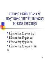 kiểm toán hoạt động do kiểm toán nội bộ thực hiện