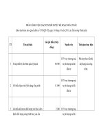 MẪU PHẦN CÔNG VIỆC GIAO EVN PHÊ DUYỆT KẾ HOẠCH ĐẤU THẦU pptx